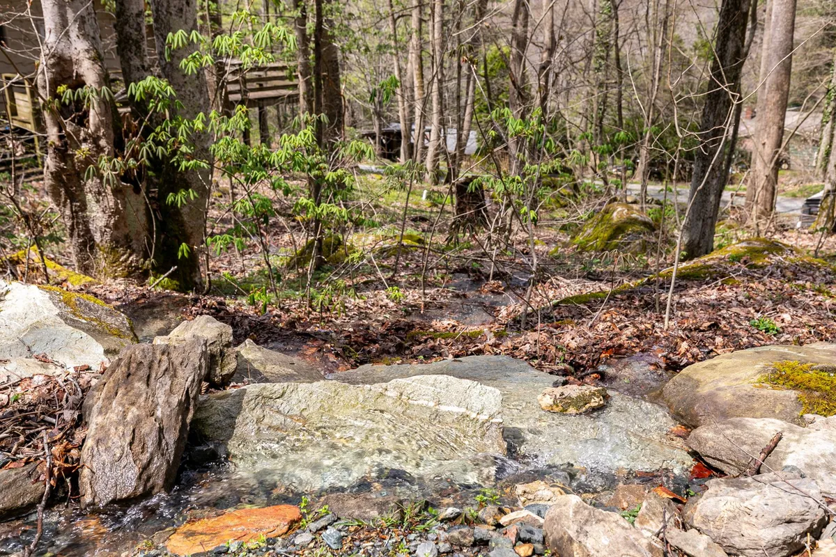 A peaceful, lush scene of a flowing stream surrounded by rounded stones and thick greenery. The setting encourages nature walks, bird watching, and meditative moments by the water—activities perfect for both people and pets.